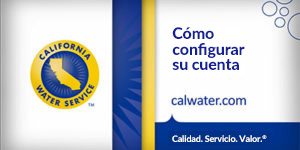 Cómo configurar su cuenta