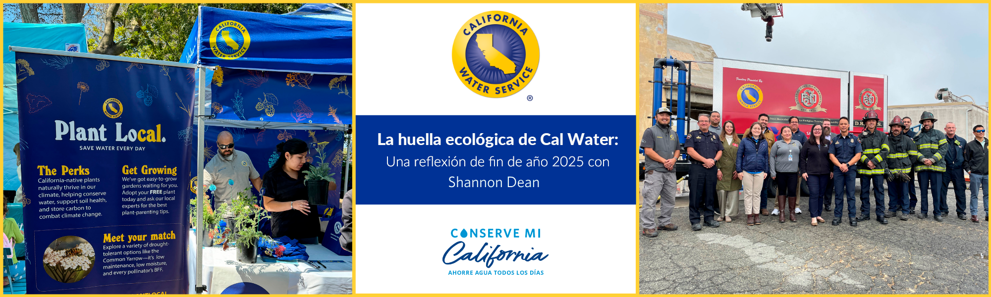 Una reflexión de fin de año 2025 con Shannon Dean